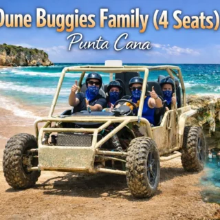 Dune Buggies Family