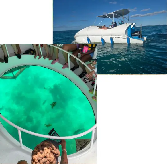 Glass Bottom Boat