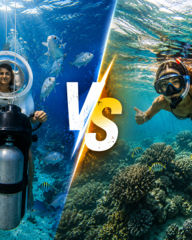 Scuba Doo vs Snorkeling