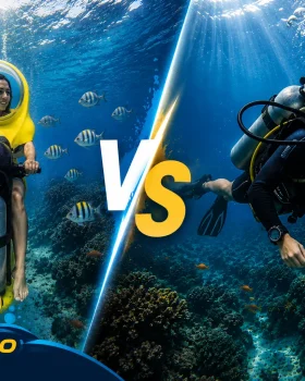 Scuba Doo vs Scuba Diving