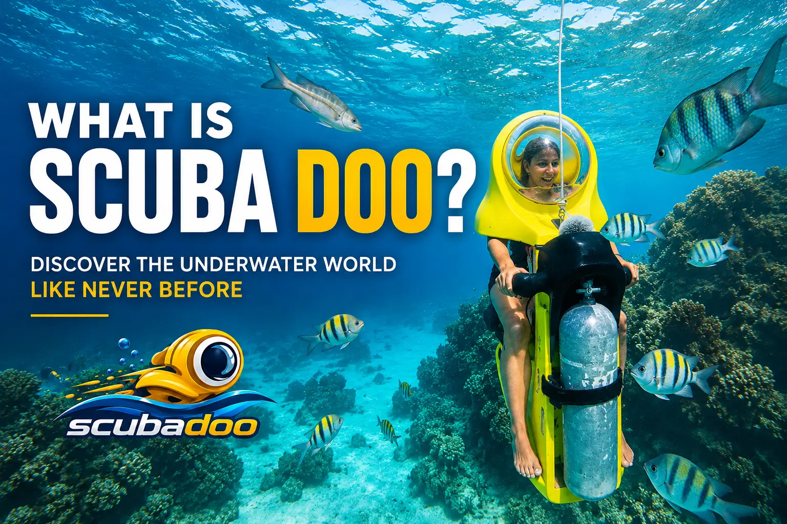 What Is Scuba Doo